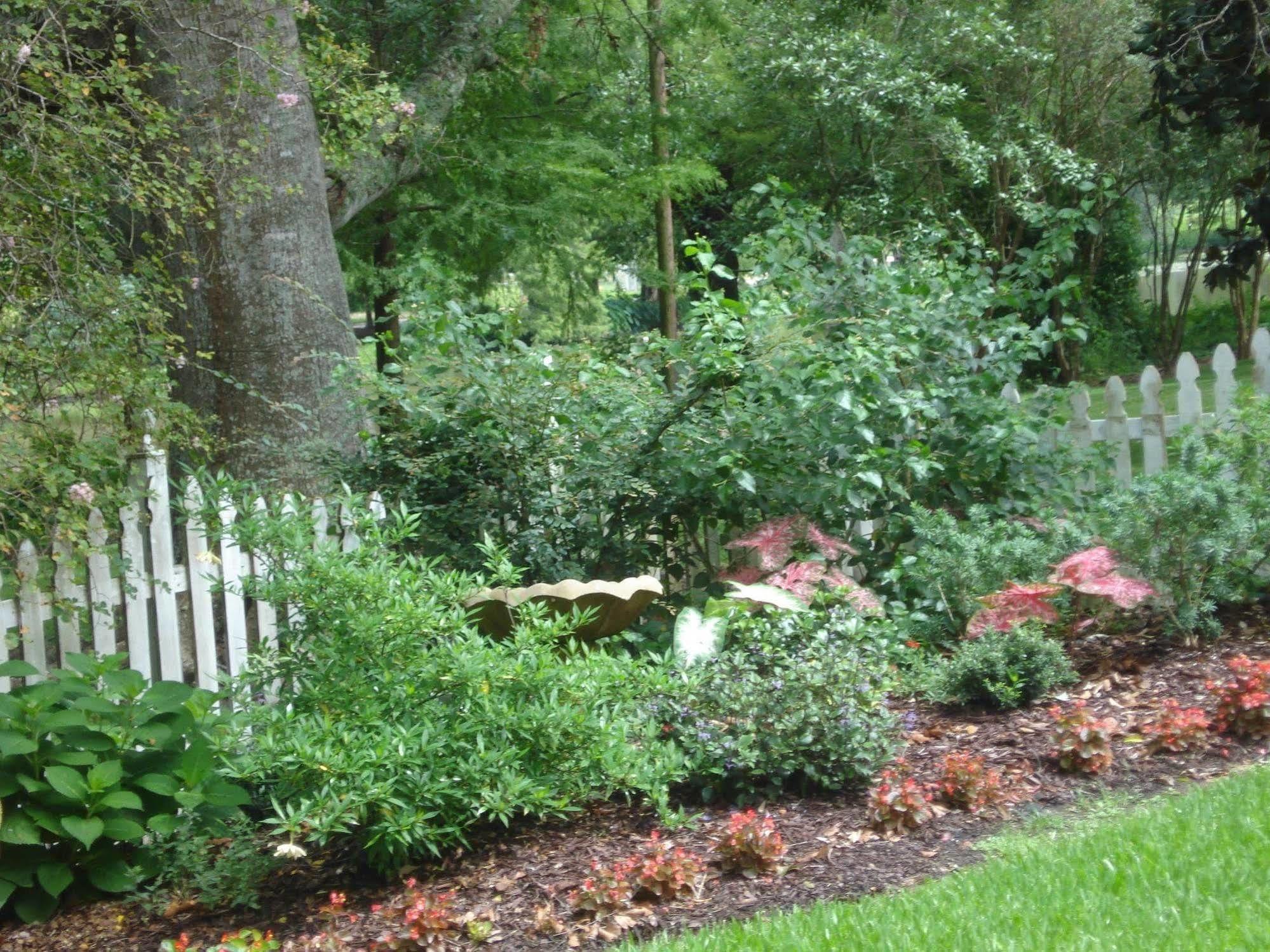 Old Castillo Bed And Breakfast Saint Martinville Exterior foto